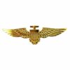 Top Gun Aviator Wings Badge