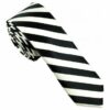 Men's Sports Presentation Striped Neck Ties