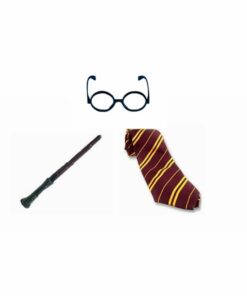 Wizard Boy Branch Wand Round Glasses & Tie Set