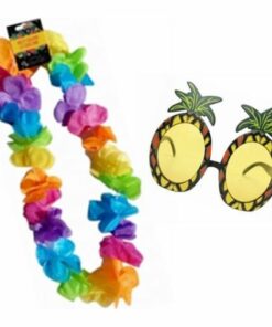 Hawaiian Lei & Pineapple Sunglasses Set