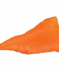 Orange Carrot Nose