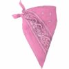 Black Cowboy Stetson Hat with Choice of Paisley Bandana Set