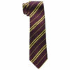 Wizard Boy School Tie