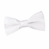 Pre-Tied Bow Ties