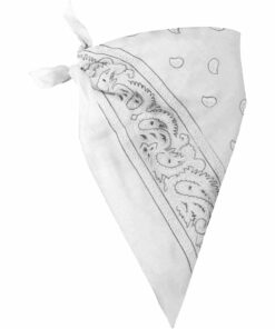 Brown Cowboy Stetson Hat with Choice of Paisley Bandana Set