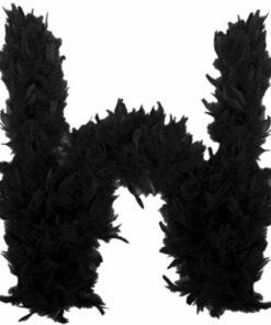 Black Feather Boa